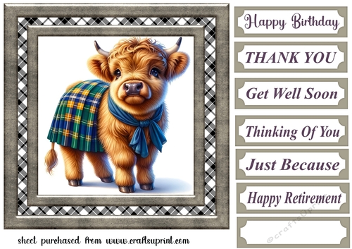 Tartan Highland cow card front 7