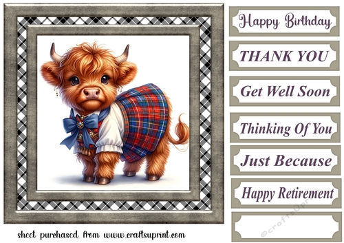 Tartan Highland cow card front 8