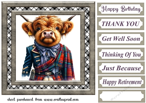 Tartan Highland cow card front 9
