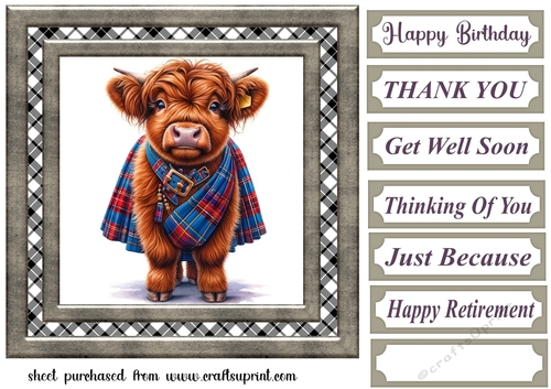 Tartan Highland cow card front 10
