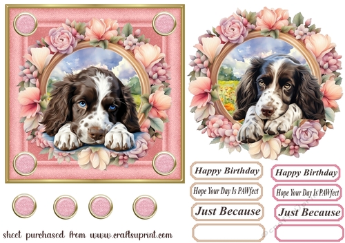 6x6 aprox Floral frame Springer card front 2