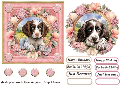 6x6 aprox Floral frame Springer card front 3