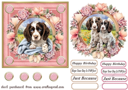 6x6 aprox Floral frame Springer card front 4