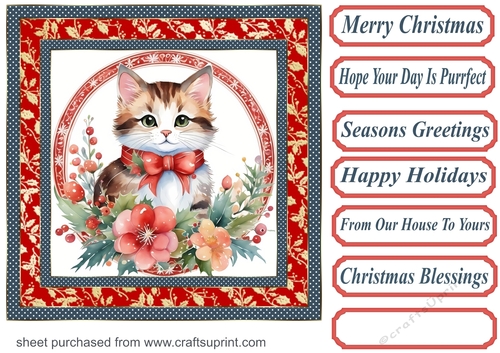 Christmas floral cat card front 1