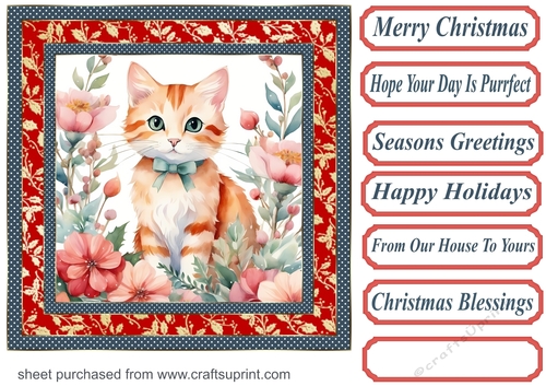 Christmas floral cat card front 2