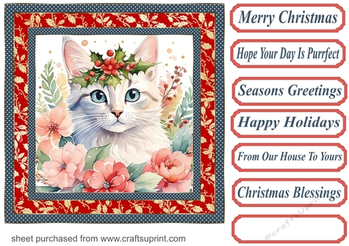 Christmas floral cat card front 3