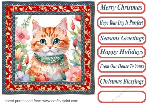 Christmas floral cat card front 4
