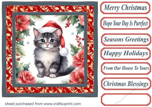 Christmas floral cat card front 5