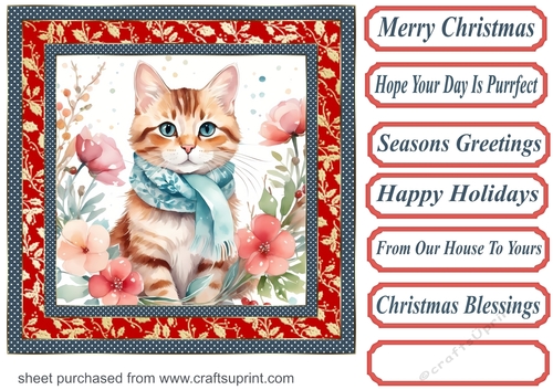 Christmas floral cat card front 6