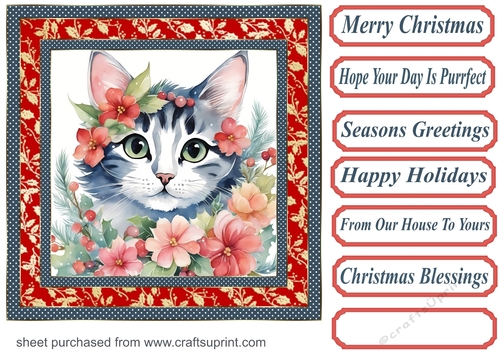 Christmas floral cat card front 7
