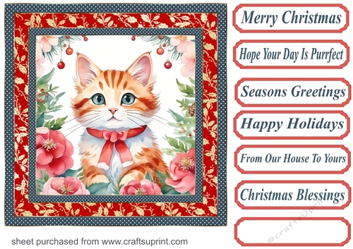Christmas floral cat card front 8