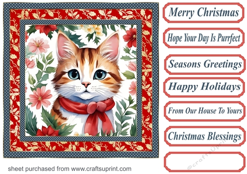 Christmas floral cat card front 10