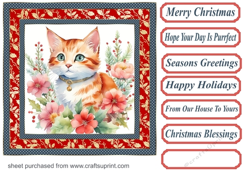 Christmas floral cat card front 11
