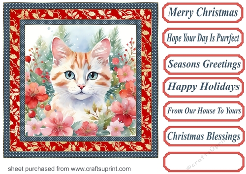 Christmas floral cat card front 12