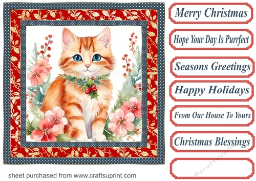 Christmas floral cat card front 13
