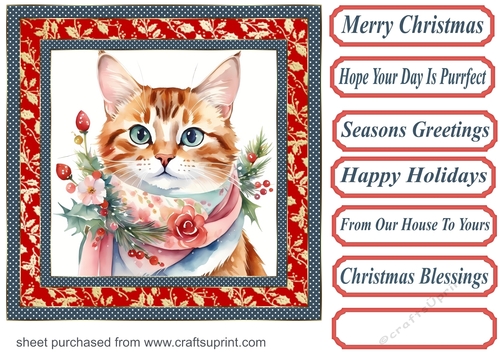Christmas floral cat card front 15
