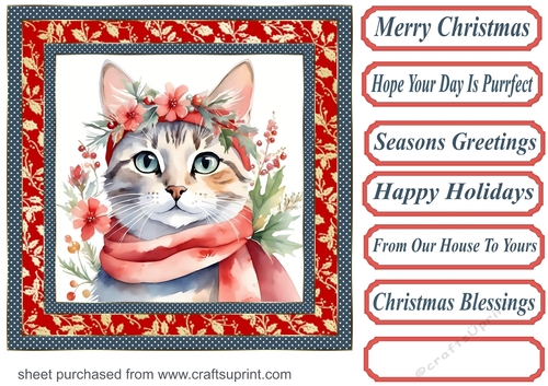 Christmas floral cat card front 16