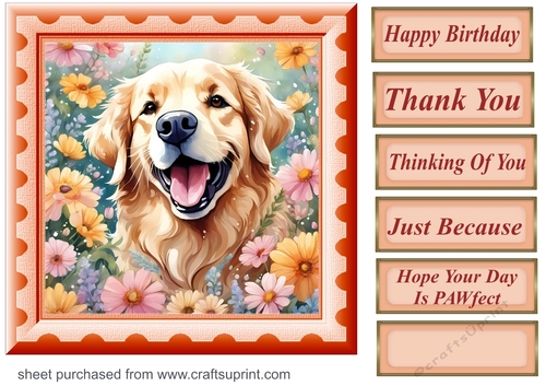 Framed floral pup card front 11