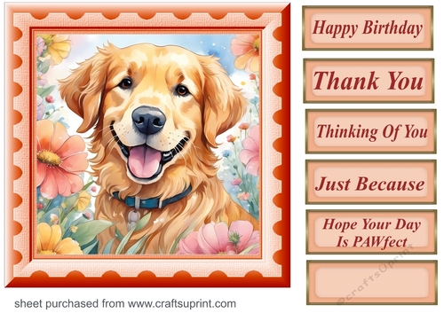 Framed floral pup card front 12