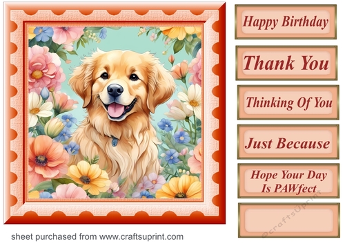 Framed floral pup card front 13