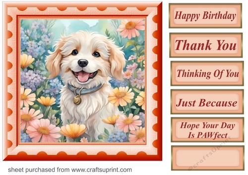 Framed floral pup card front 14