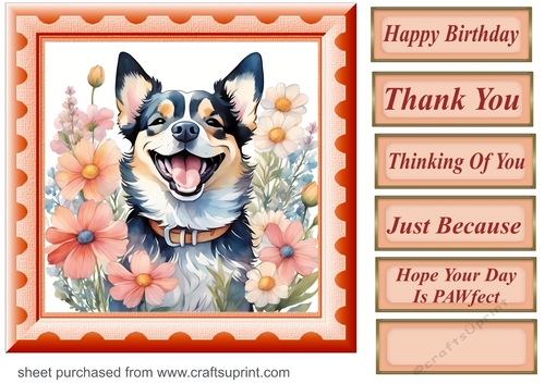 Framed floral pup card front 16