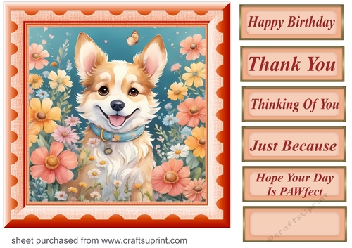 Framed floral pup card front 17