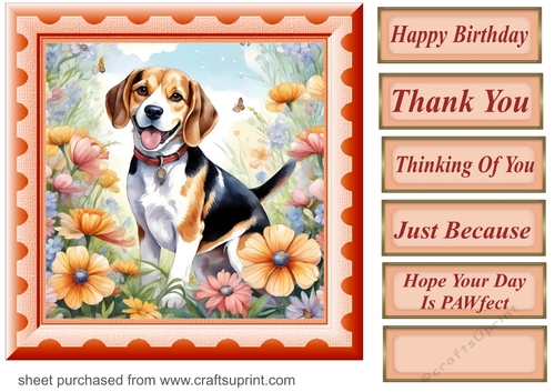 Framed floral pup card front 18