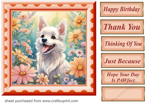 Framed floral pup card front 19