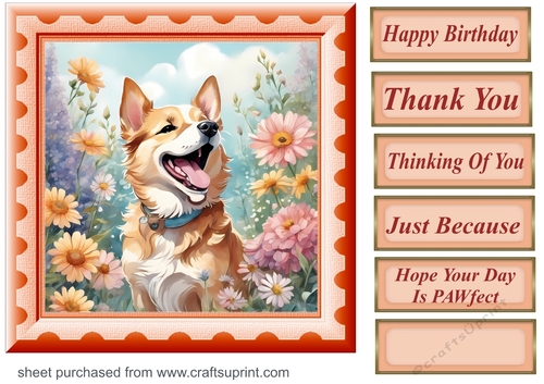 Framed floral pup card front 20