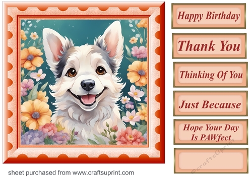 Framed floral pup card front 21