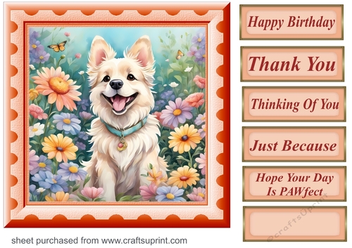 Framed floral pup card front 22