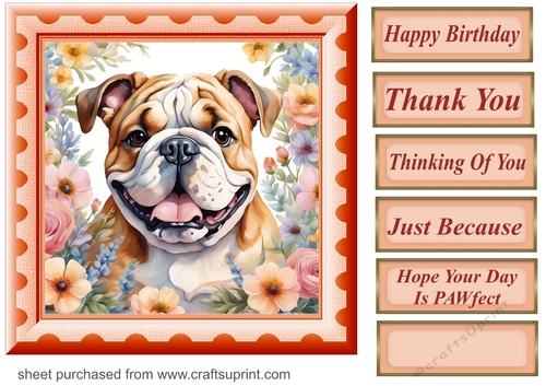 Framed floral pup card front 23