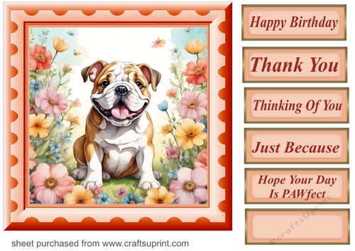 Framed floral pup card front 24