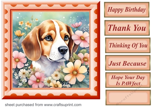 Framed floral pup card front 25