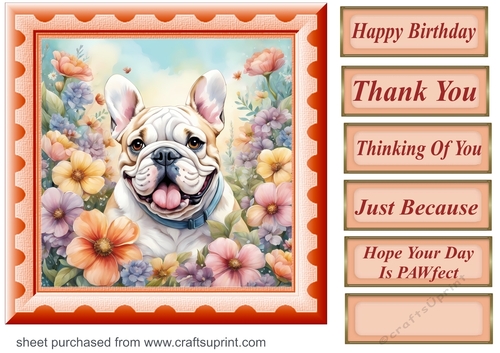 Framed floral pup card front 26