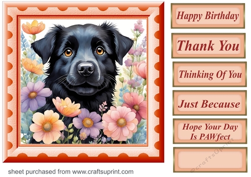 Framed floral pup card front 27
