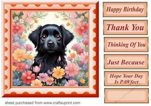 Framed floral pup card front 28