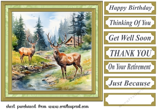 Country wildlife card front 4