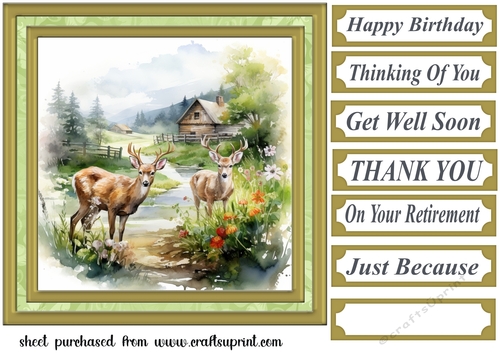 Country wildlife card front 6