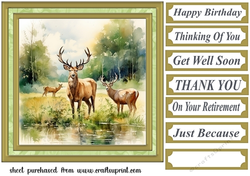 Country wildlife card front 7