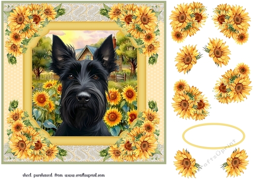 Framed sunflower Scottish terrier card front 3