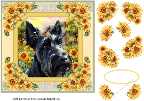 Framed sunflower Scottish terrier card front 13