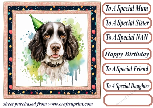 Birthday Springer spaniel card front 4