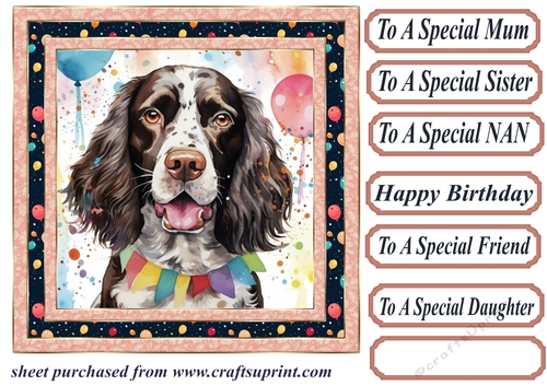 Birthday Springer spaniel card front 5