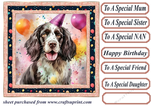 Birthday Springer spaniel card front 7