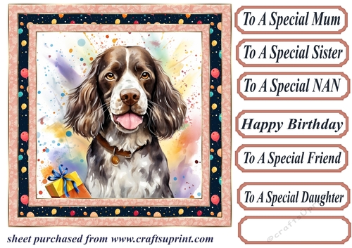 Birthday Springer spaniel card front 8