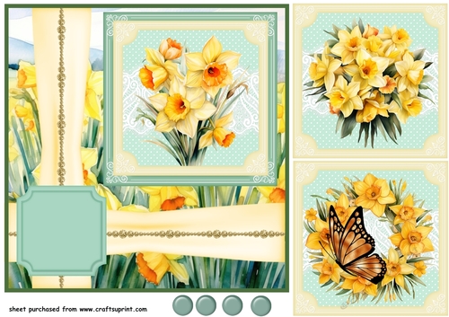 Framed daffodil card front 1