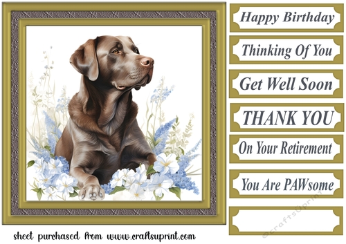 Floral Chocolate Labrador card front 2
