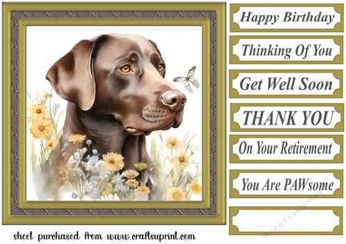 Floral Chocolate Labrador card front 4